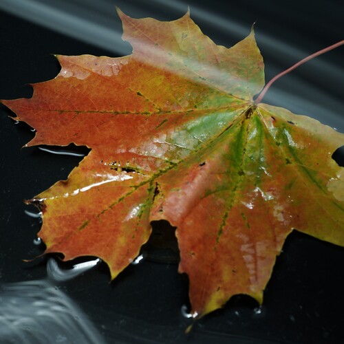 Photo #14149461