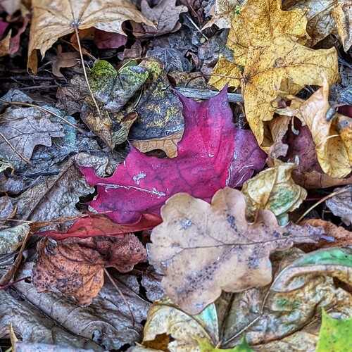 Photo #14149506