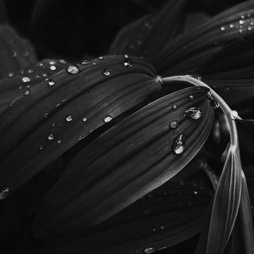 Photo #14149529