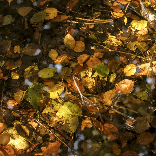 Photo #14149567