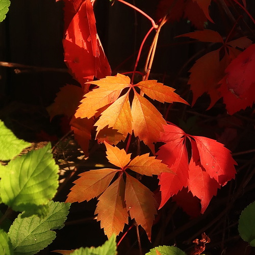 Photo #14149574