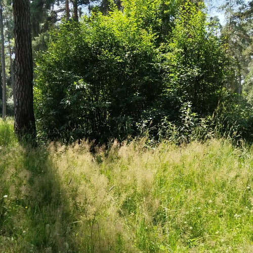 Photo #14149579