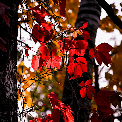 Photo #14149604