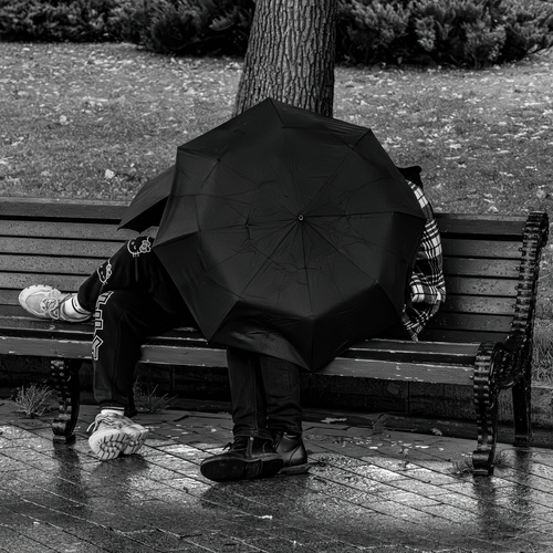 Photo #14149758