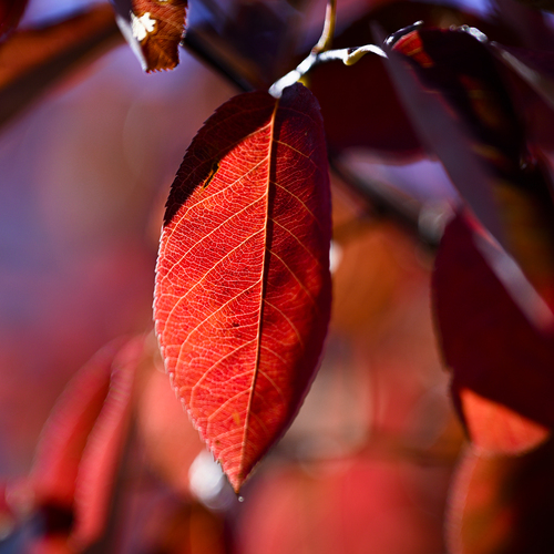 Photo #14149760
