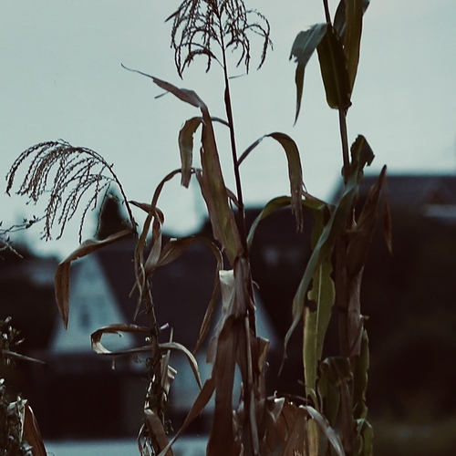 Photo #14149807