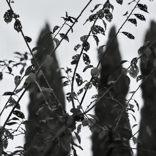 Photo #14149809