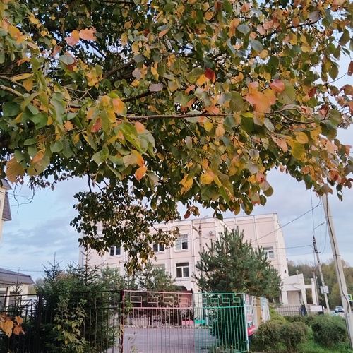 Photo #14149837