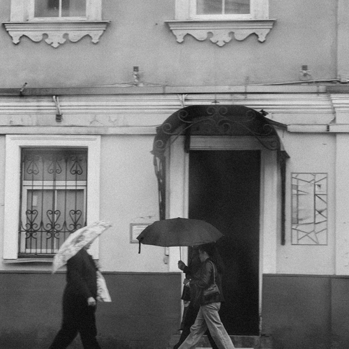 Photo #14149855