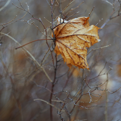 Photo #14149865