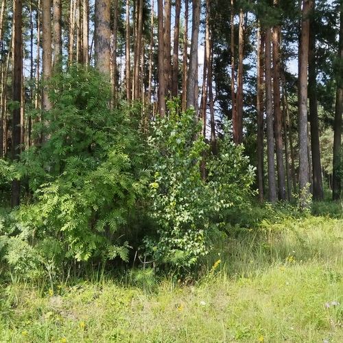 Photo #14149887