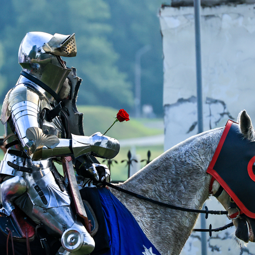 Photo #14149896