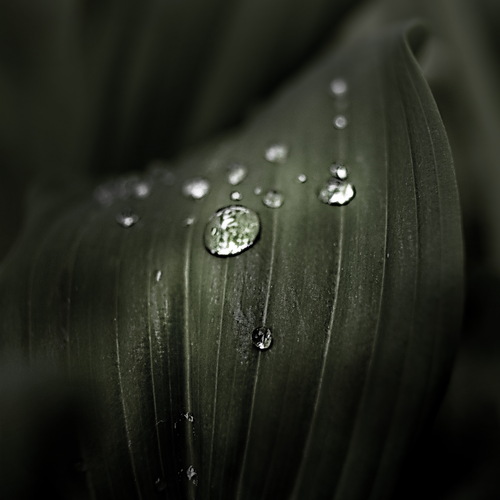 Photo #14149958