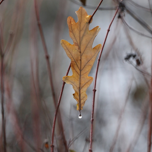 Photo #14149961