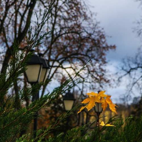 Photo #14149969