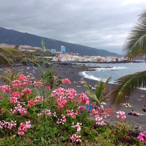 Photo #1416948