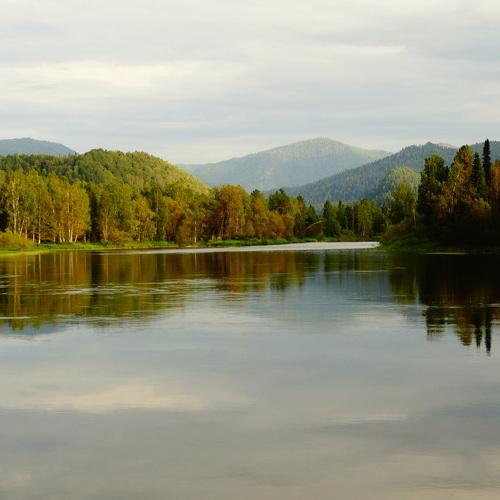 Photo #1419183