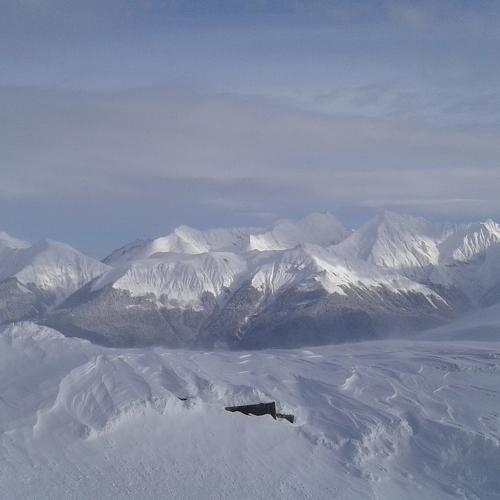 Photo #1419845