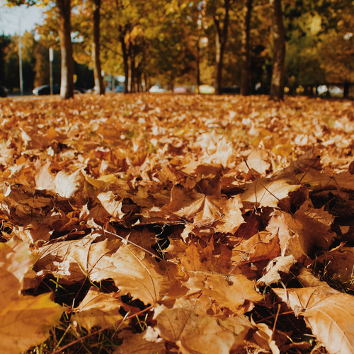 Photo #14150077