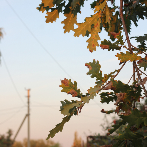 Photo #14150235