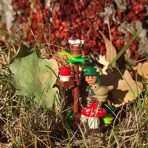 Photo #14150241
