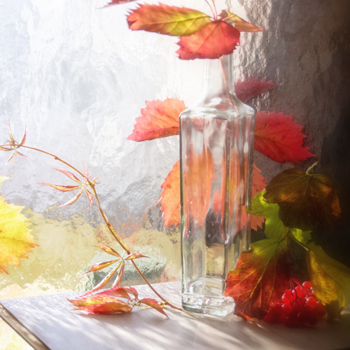Photo #14150247