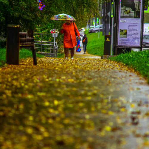 Photo #14150392