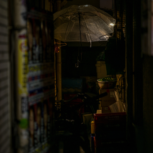 Photo #14150425