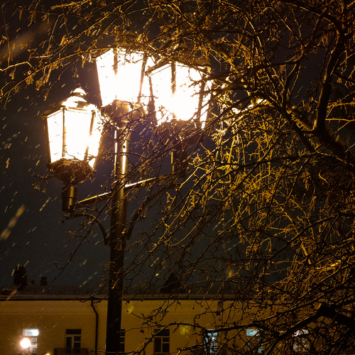 Photo #14150554