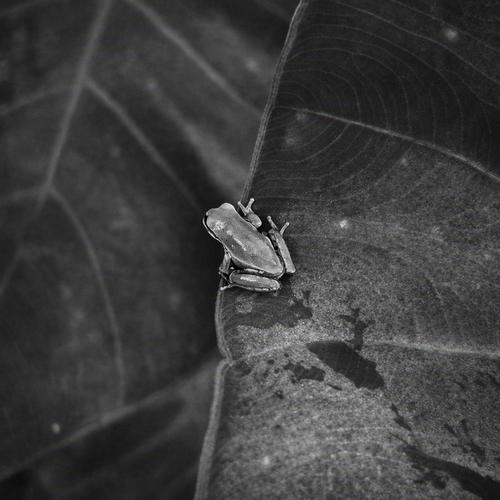 Photo #14150593