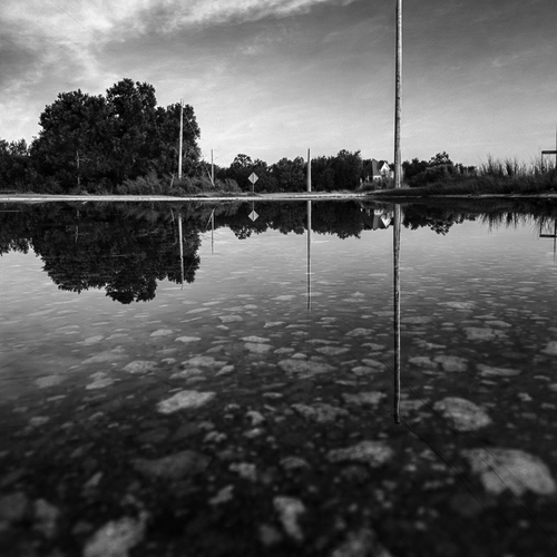 Photo #14150607