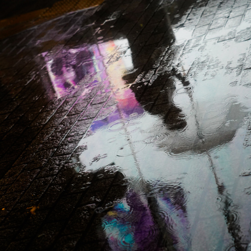Photo #14150610