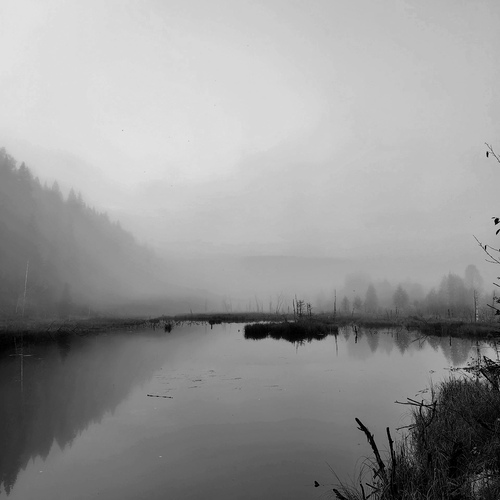 Photo #14150636