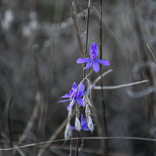 Photo #14150740