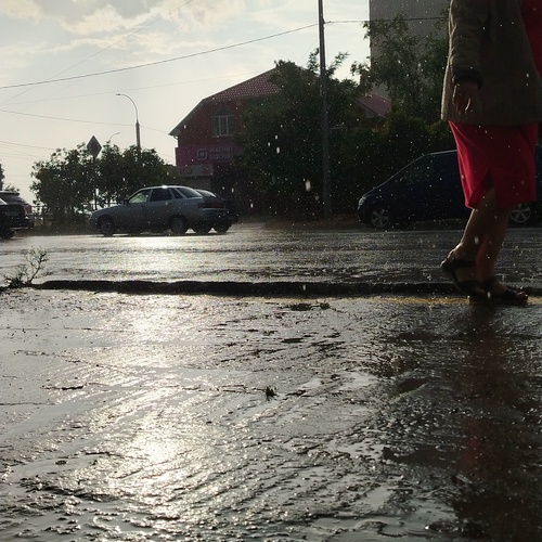 Photo #14150834