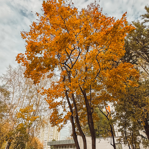 Photo #14150863
