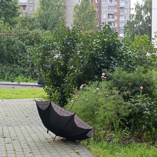 Фотография #14151029