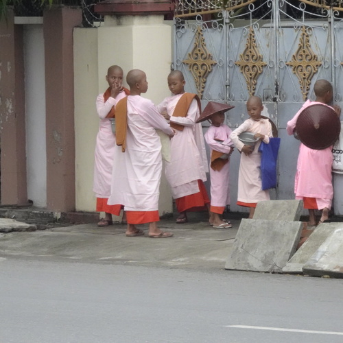 Photo #14151117