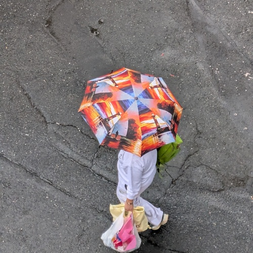 Photo #14151246