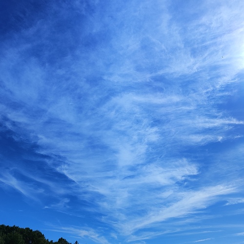 Photo #14151316