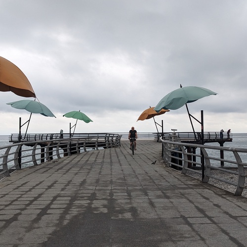 Photo #14151345