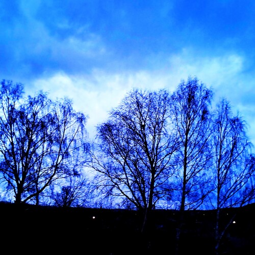 Photo #14151524
