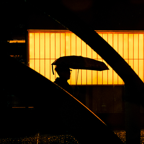 Photo #14151615