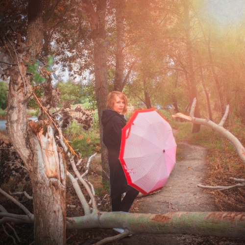 Photo #14151692