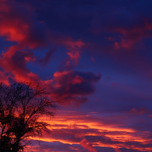 Photo #14151824
