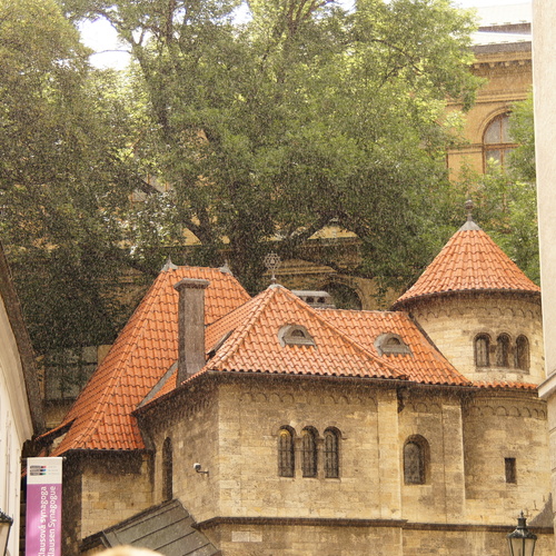 Photo #14152004