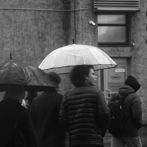 Photo #14152189
