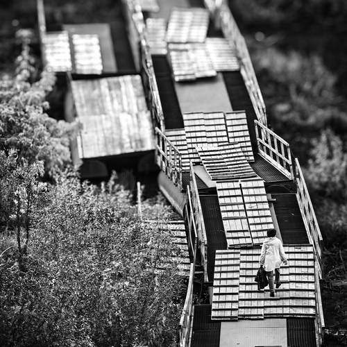 Photo #14152241