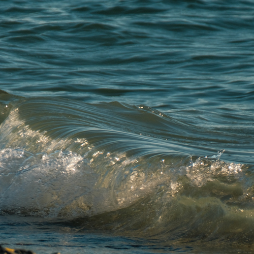 Photo #14152279