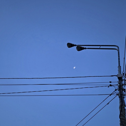 Photo #14152427